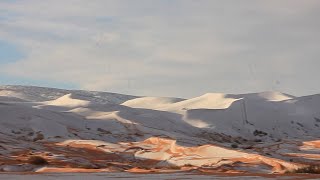 Sahara Desert Covered In Snow [upl. by Fai]