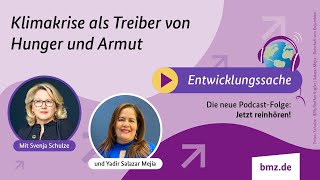 Klimakrise als Treiber von Hunger und Armut  Podcast Entwicklungssache 14 [upl. by Coheman609]