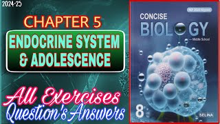 Endocrine System and Adolescence Class 8  Biology Chapter 5  All Answers [upl. by Bronk]