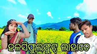 ହଳସିଫୂଲଫୁଟ୍ ପାହାଚେ Desia Nana yt chennel [upl. by Cleave]