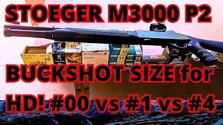 What BEST BUCKSHOT for HOME DEFENSE 00 vs 1 4 Low Recoil Pattern 715yrd BUDGET Stoeger M3000 P2 [upl. by Bishop]