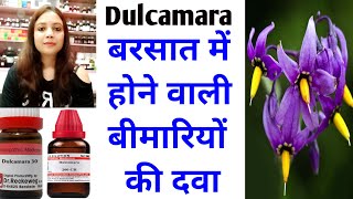 Dulcamara Homeopathic medicine Dulcamara 30200  बरसात में होने वाली समस्याओं की असरकारी दवा [upl. by Aihsena]