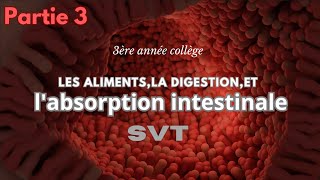 chapitre1 les aliments la digestion et labsorption intestinale Partie 3 labsorption intestinale [upl. by Dnomder]