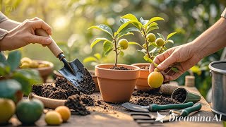 Master the Art of Growing Fruit Plants in Pots Planting and Maintenance Tips [upl. by Salangia]