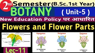 BSc 2nd Semester BotanyFlowers and Flower PartsPerigynousHypogynousEpigynousBisexualUnisexual [upl. by Reena]