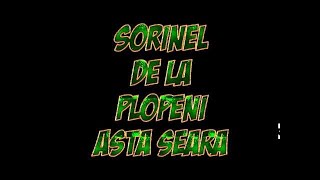 SORINEL DE LA PLOPENI ASTA SEARA [upl. by Ahsinod]