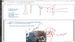 USMLE STEP 1  Biochemistry 3  Molecular  DNA Mutations [upl. by Mukerji]