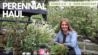 Perennial Plant Haul  mostly zones 48 amp deer resistant [upl. by Tudor981]