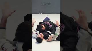 PELEO JIU JITSU SIN SABER NADA Entrevista jiujitsu parati [upl. by Yznel]