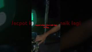 Strike jekpot patin kolam situs palembang [upl. by Judsen]