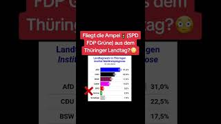 SPD 6 Grüne 25❗fliegt die 🚦aus dem Thüringer Landtag [upl. by Aratehs]