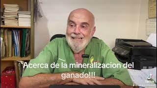 ACERCA DE LA MINERALIZACIÓN DEL GANADO [upl. by Arenat102]