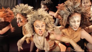 quotJellicle Catsquot Cats COVER by Spirit Young Performers Company [upl. by Dionisio256]