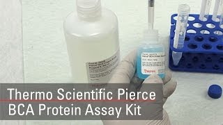 BCA Protein Assay Reagent bicinchoninic acid [upl. by Ginni365]