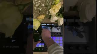 trip hop   live jam on maschine mk3 [upl. by Peterson]