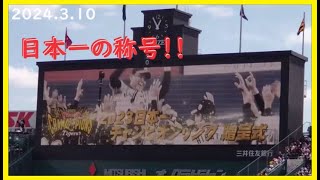 2024310 2024新入団選手発表＆2023日本一チャンピオンリング贈呈式！〜スペシャルムービーあり〜＠阪神甲子園球場～一塁アルプス視点～【阪神タイガース】 [upl. by Peterson274]