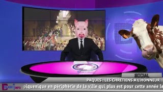 Clash Info éd 50 du 27 mars 2016 [upl. by Grose]