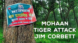 Mohaan Tiger Attack Mohaan Jim Corbett 2022 4K Video Hindi  हिन्दी [upl. by Ettelliw363]