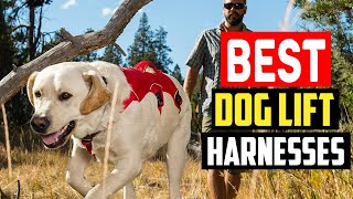 Top 5 Best Dog Lift Harnesses in 2023 [upl. by Allayne404]