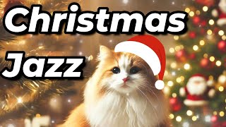 🎄 Cozy Christmas BGM – Relaxing Jazz Music with Christmas Vibes 🎅🐾 [upl. by Chalmer]