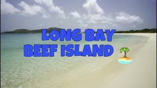 BVI Long Bay Beef Island Meg’s Herbie Tv [upl. by Akinet]