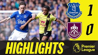 CalvertLewin Goal Sees Blues Take Points  HIGHLIGHTS  Everton 1 0 Burnley [upl. by Hersh]