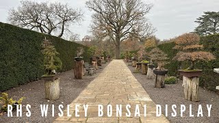 RHS Wisley amp Bonsai Display [upl. by Vierno]