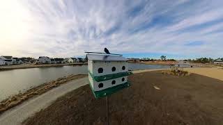 Riverlights gets 3 Purple Martin Houses [upl. by Ramar]