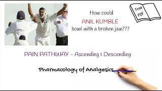 Pain PathophysiologyAscending amp Descending PathwayGate Control TheoryOpioids amp NSAIDs [upl. by Messing]