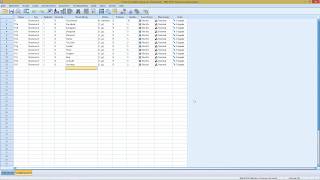 SPSS  Mehrfachantworten [upl. by Kemme544]