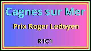 Pronostics PMU gratuits Quinté du jour jeudi 29 Février Cagnes sur Mer Prix Roger Ledoyen [upl. by Langham37]