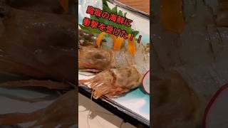 鳥取の海鮮に衝撃を受けた日！！【旬彩 こころび 本店】『鳥取旅in鳥取グルメ』 [upl. by Soni]