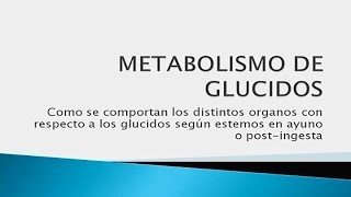 Metabolismo de Glucidos en 9 minutos [upl. by Ayotaj127]