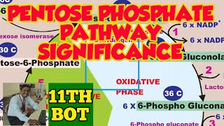 PENTOSE PHOSPHATE PATHWAY SIGNIFICANCE  TAMIL  PLANT PHYSIOLOGY  RESPIRATION IM PLANTS  STD 11 [upl. by Anazraf]