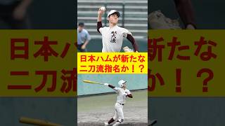 【プロ野球】日本ハムが新たな二刀流誕生か！？shorts 柴田獅子 日本ハム ドラフト2024 二刀流 大谷翔平 プロ野球 野球ニュース プロ野球ドラフト 栗山英樹 野球 [upl. by Krueger]