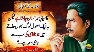 Everyone Wants Success But They Miss This Key to Avoid Failure  Deep quotes  Allama Iqbal Quotes [upl. by Ennairoc]