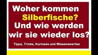 Woher kommen Silberfische und wie kann man sie loswerden bekämpfen Ursache Tipps [upl. by Derfnam]