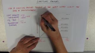 Limiting Factors for photosynthesis [upl. by Chadwick]