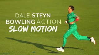 Dale Steyn Bowling Action SlowMotion [upl. by Ojeitak]