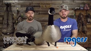 Higdon Apex Canada Goose Decoys [upl. by Tahp]