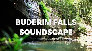 Relax at Buderim Falls QLD  Soundscape 1 hour [upl. by Marven]