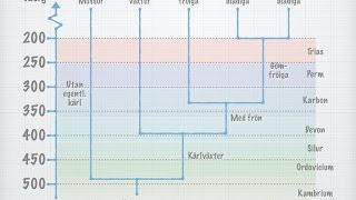 Växternas systematik [upl. by Aleunamme539]