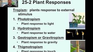 Plant Responses amp Tropisms Video 21 [upl. by Packer]