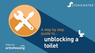 How to unblock the toilet [upl. by Anastice]