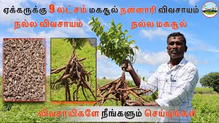 ஏக்கருக்கு 9 லட்சம் மகசூல்🔴நன்னாரி விவசாயம் 🔴நன்னாரி மூலிகை சாகுபடி🌱Profitable Nannari Cultivation [upl. by Lisette]