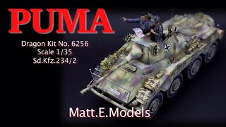 Puma Dragon Models 135 scale German recce vehicle [upl. by Nossah]