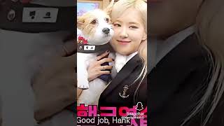 Rose loves dog blackpink editroseshort [upl. by Twedy]