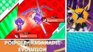 POIPOLE  NAGANADEL EVOLUTION  Pokémon Ultra Sun Highlights [upl. by Pinchas]