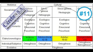 Humanos  Filogênese  Ontogênese  Sóciogênese [upl. by Gay755]