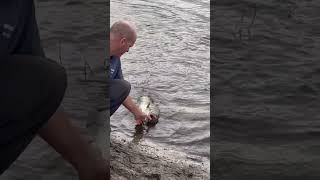 Neighbor John catches a pond bass in Port St Lucie FL [upl. by Cupo]